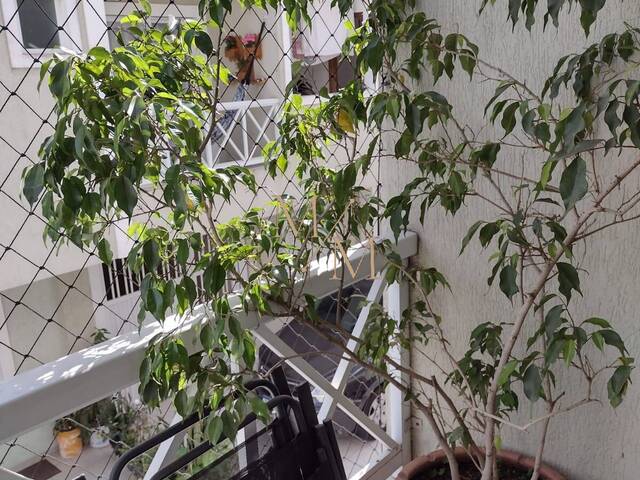 Casa para Venda em Santos - 4