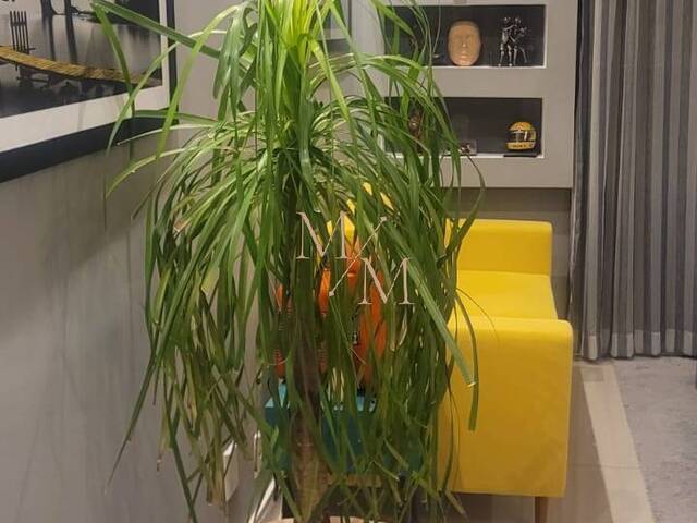 Apartamento para Venda em Santos - 4
