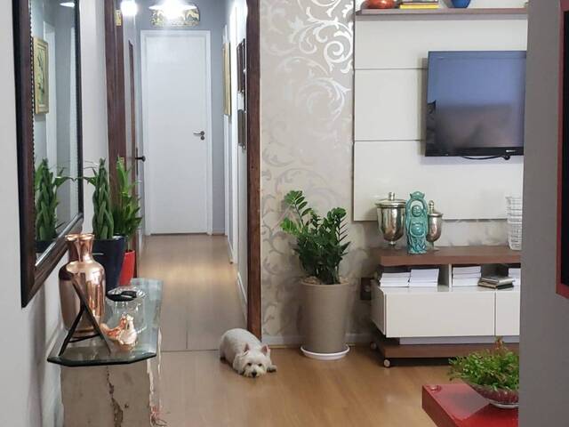 Apartamento para Venda em Santos - 5